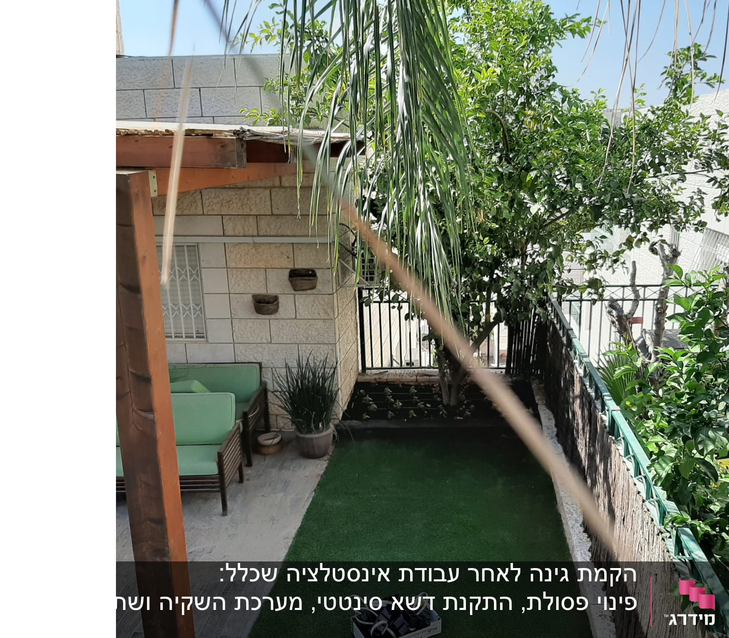 עצים וצמחים בגינה קטנה עם דשא סינתטי